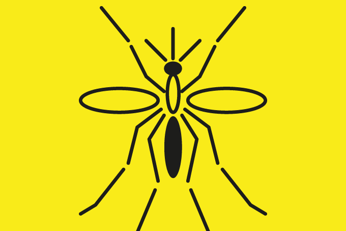 Hope in the Fight Against Malaria