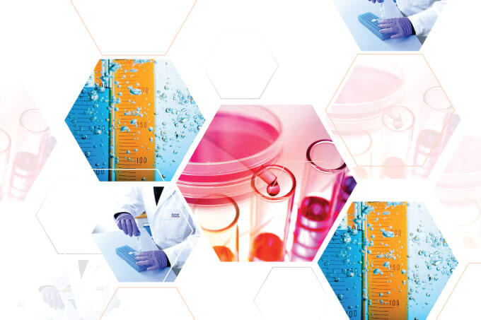 Skin Sensitization Solutions