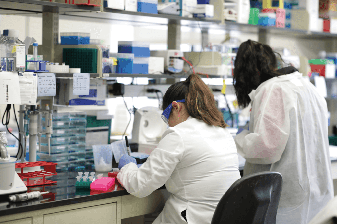 Beyond Drug Development