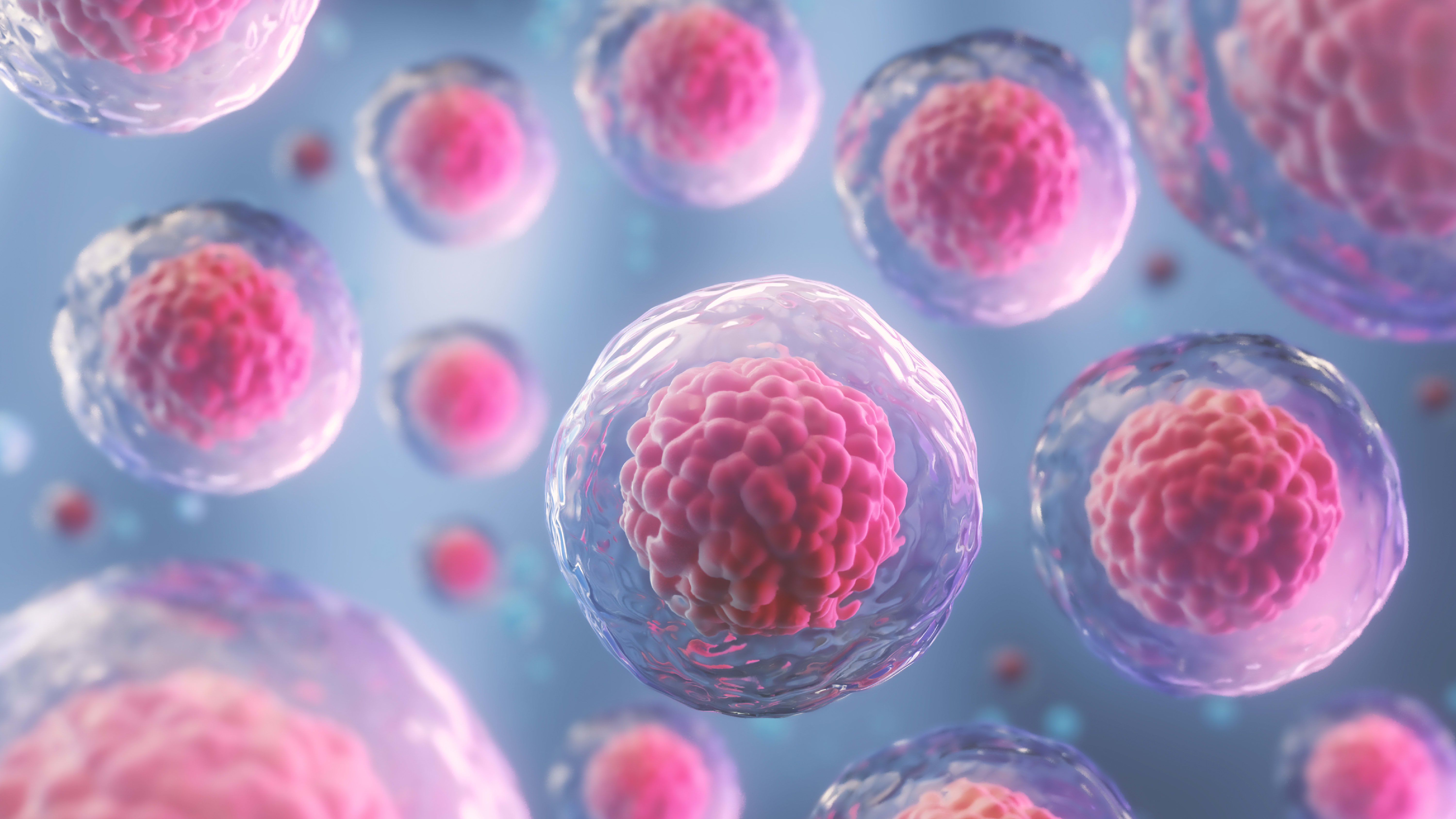 Pregnancy After CAR T Shows Early Promise