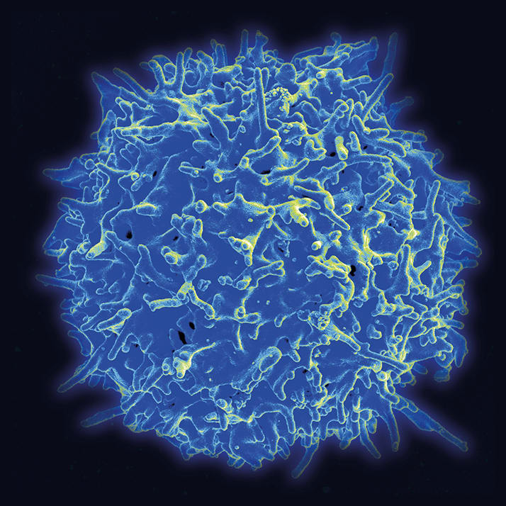 Nanotechnology Versus Cancer