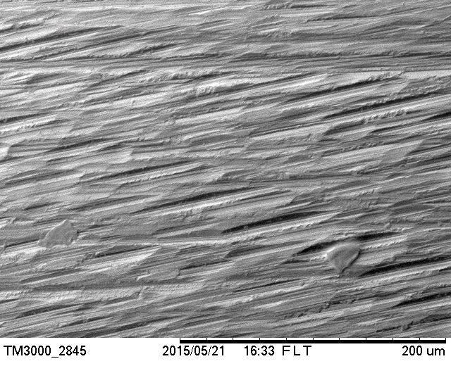 Figure 20