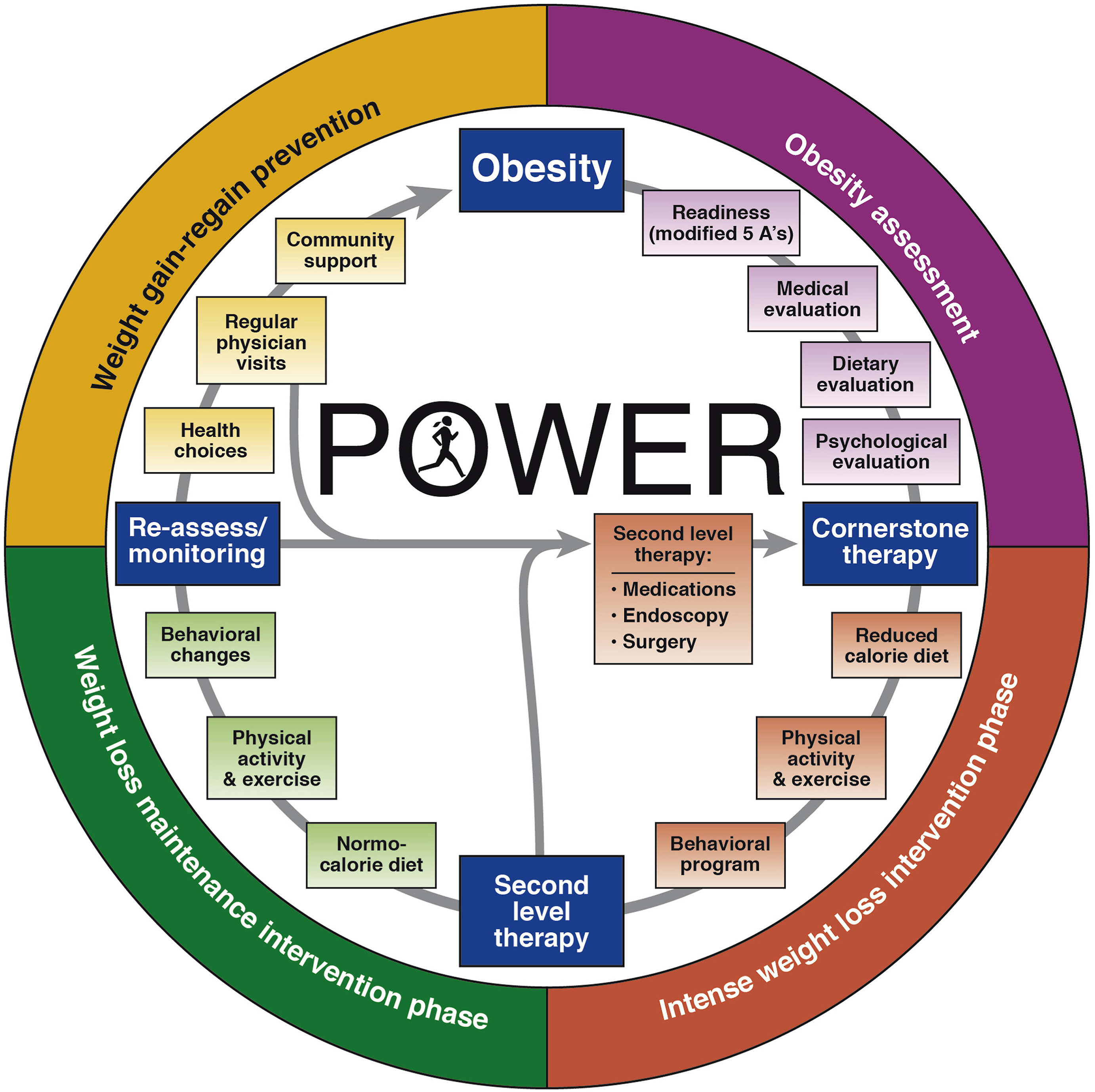 POWER: Practice Guide on Obesity and Weight Management, Education and Resources. 5 A’s, ask, advise, assess, assist, and arrange. Figure courtesy of Gastroenterology.