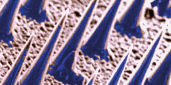 Microneedles Point to the Future