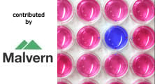 Morphologically-Directed Raman Spectroscopy used for the characterization of protein aggregates in suspension