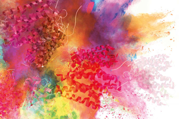 Hidden Pathways on the Surface of Cells