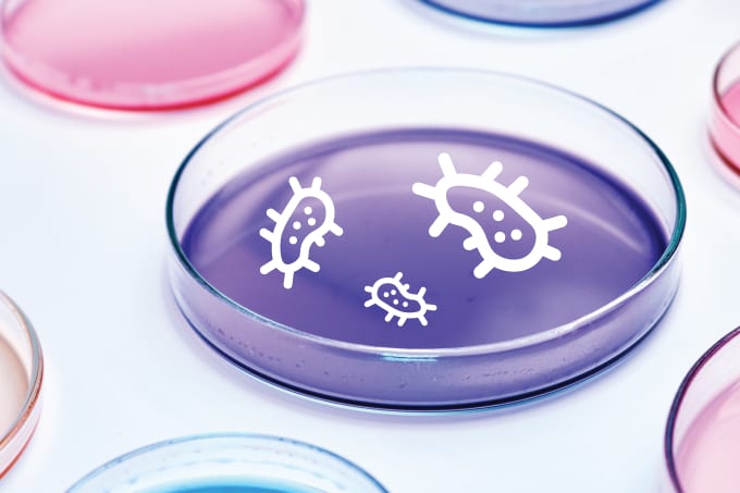 Towards Rapid Microbial Testing Methods