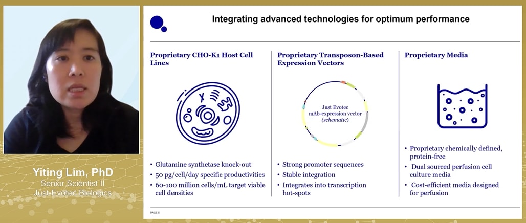 A Simpler, Smarter CHO Strategy for High-Quality Bispecifics
