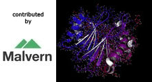 Measurement and characterization of protein-LMW compound interactions