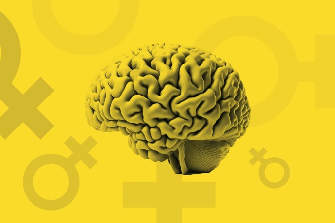 Exploring Alzheimer’s in Women