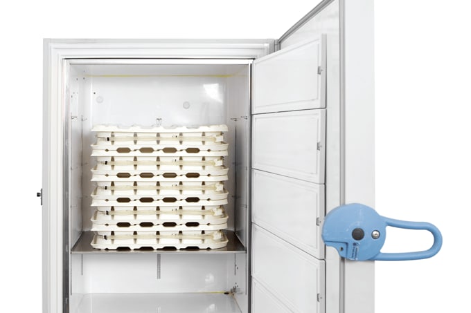 Switching From Bottles to Bags: Robust by Design