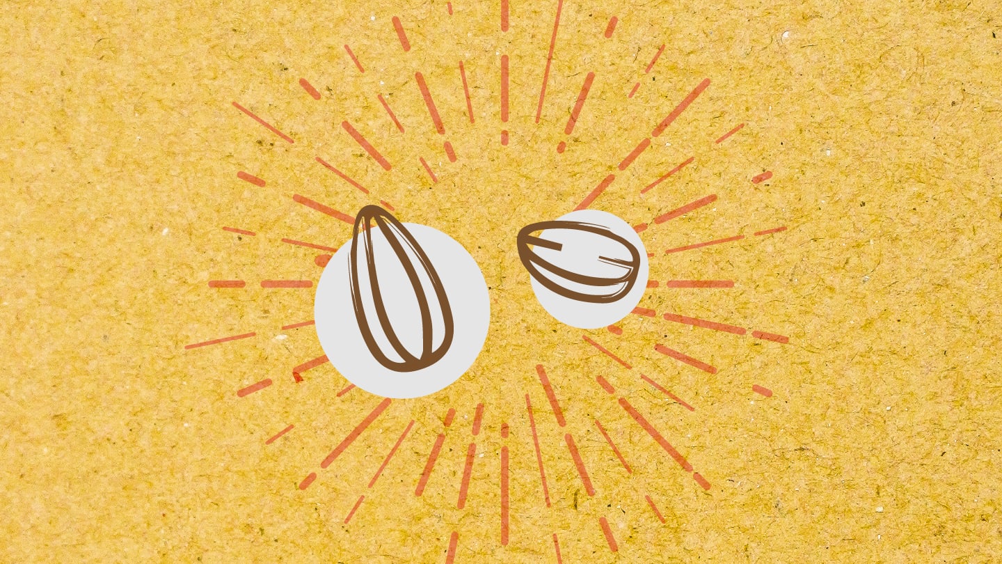 Nut-Based Pharmaceuticals: From Food Waste to Functional Medicine