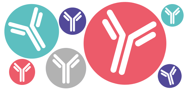 The New Antibody Formats on the Block
