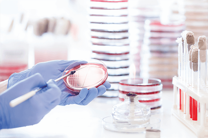 Strength in Cell Line Development