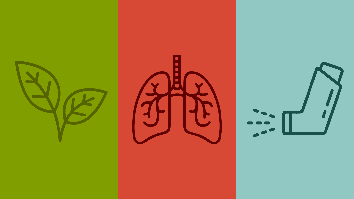 Green Propellants and the Future of Metered Dose Inhalers