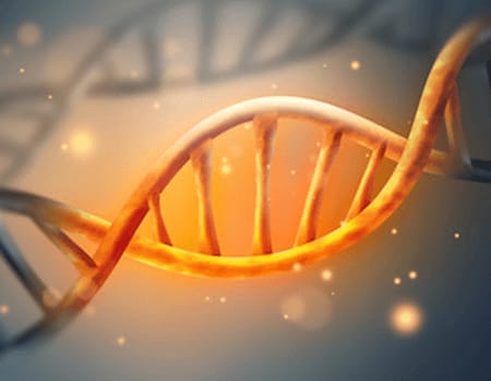Next-day assessment of hereditary cancer risk using a targeted NGS panel
