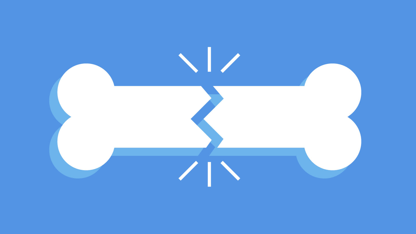 Oral Bacteria Linked to Bone Loss in Mouse Study