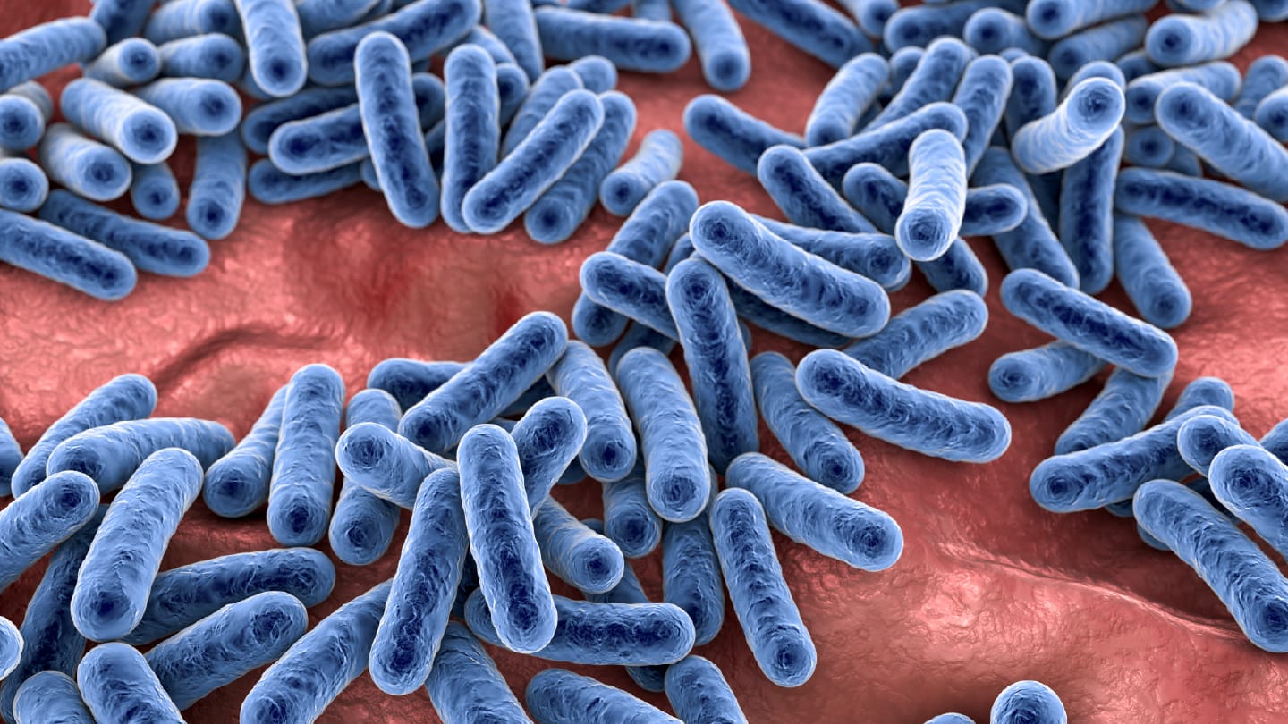 Improving How We Read the Microbiome