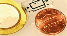 Biomimetic Micropump