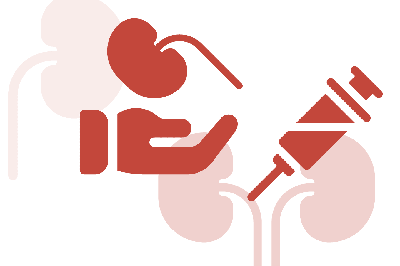 Discarded Kidney Donations