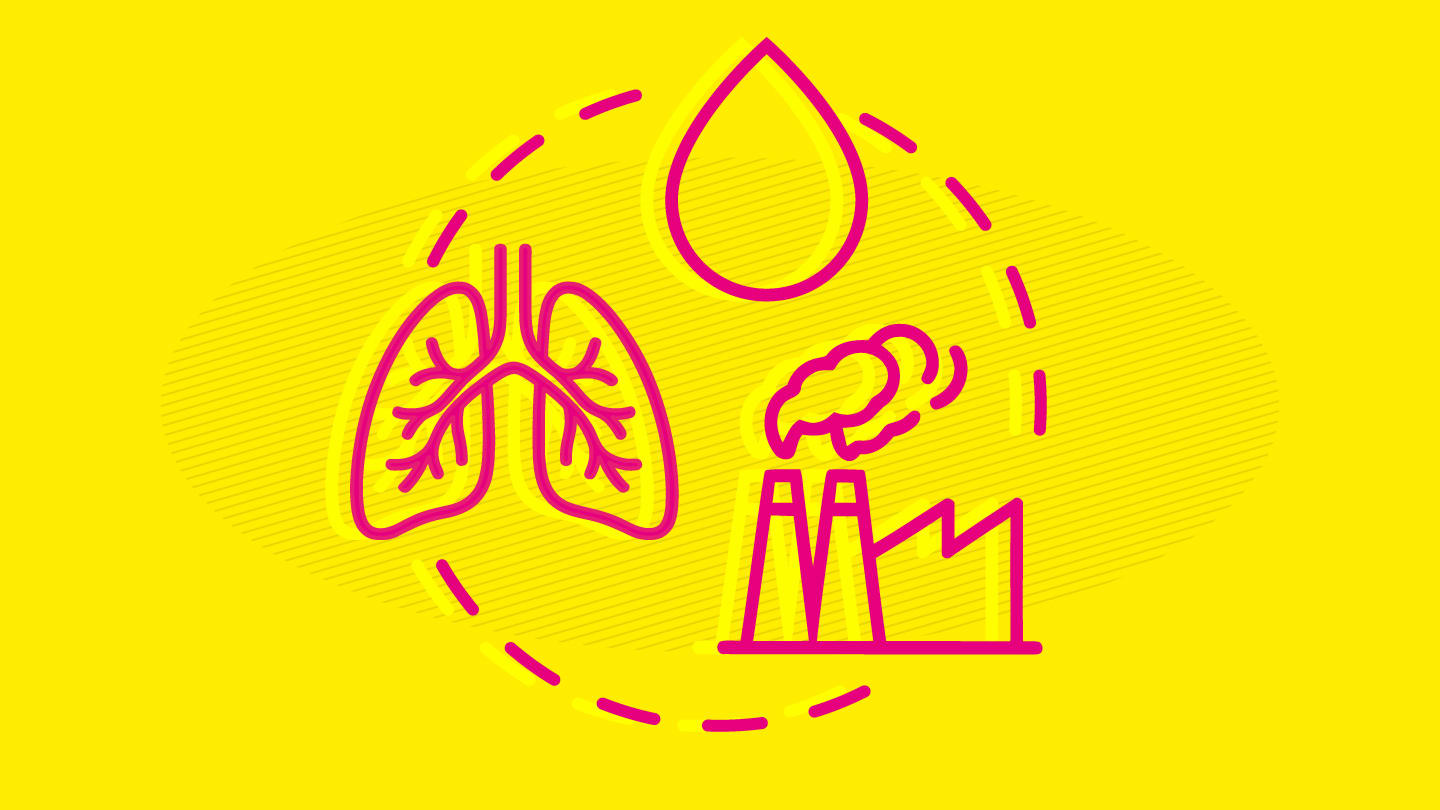 Air Pollution Leaves a Metabolic Mark