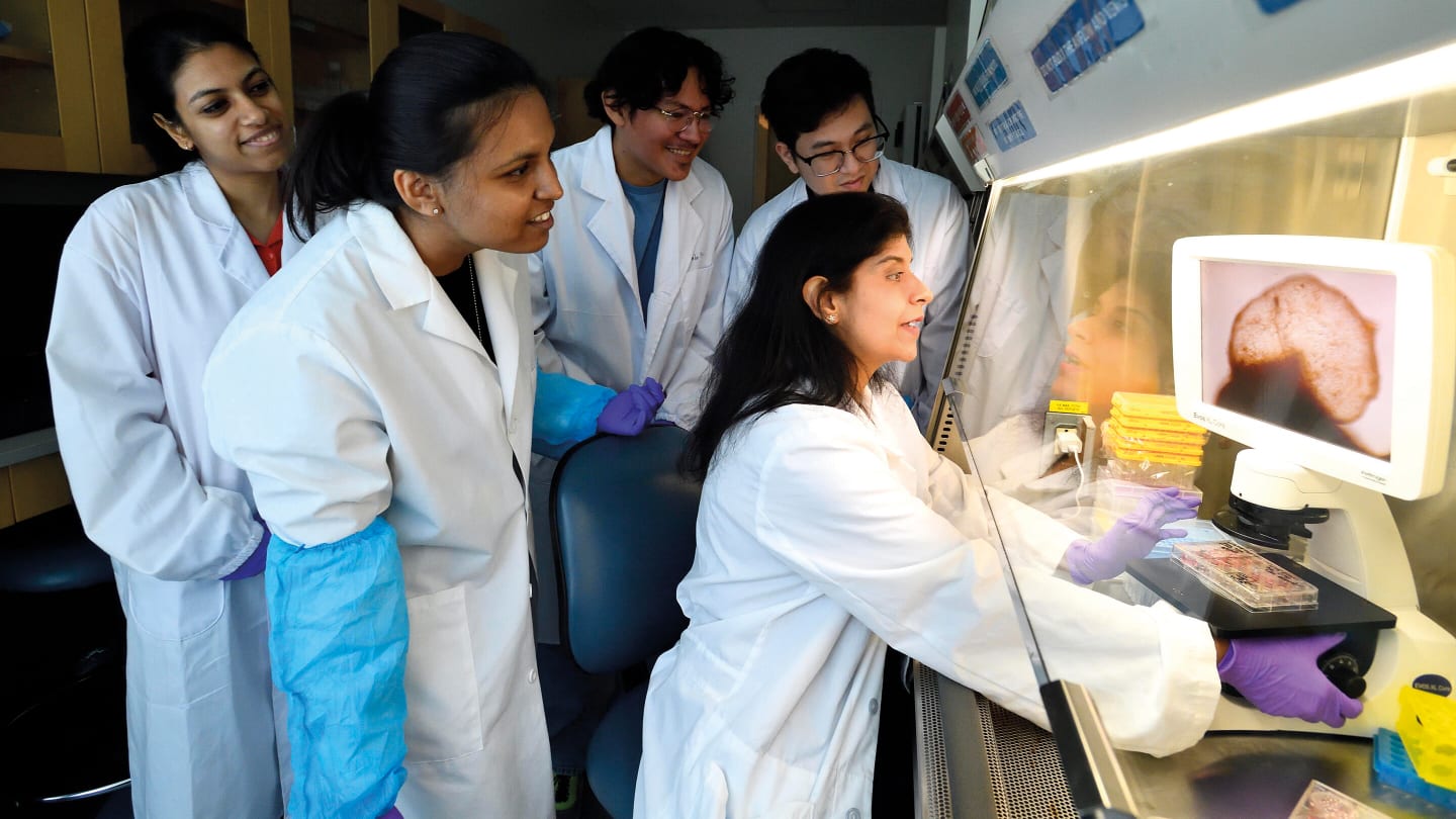 NextGeneration Brain Organoids Mimic WholeBrain Networks