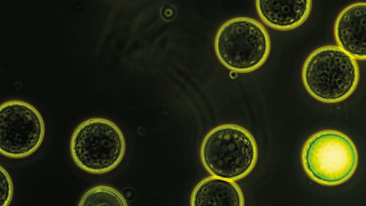 Ocean Virus Sequencing From a Single Drop