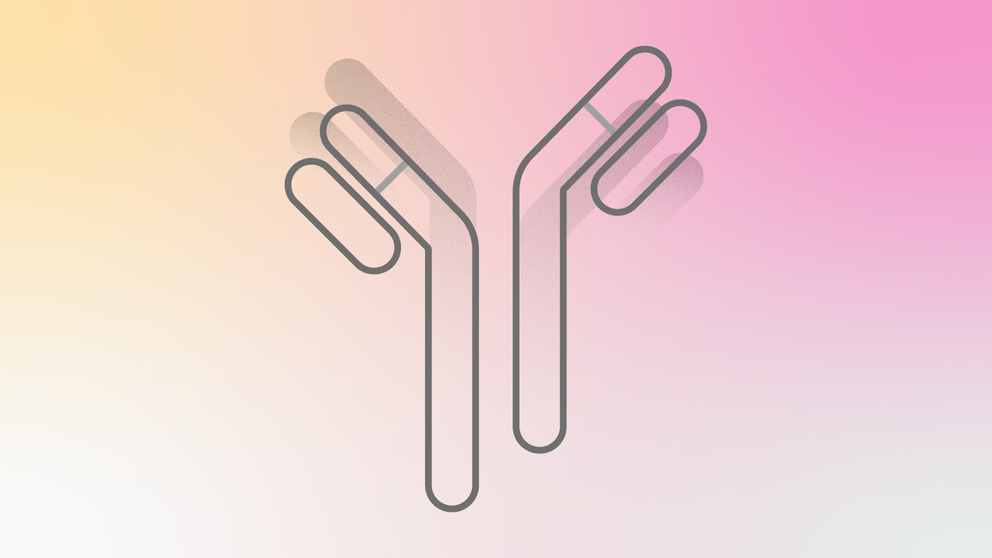 Affordable Autoimmune Test Matches Established Assays