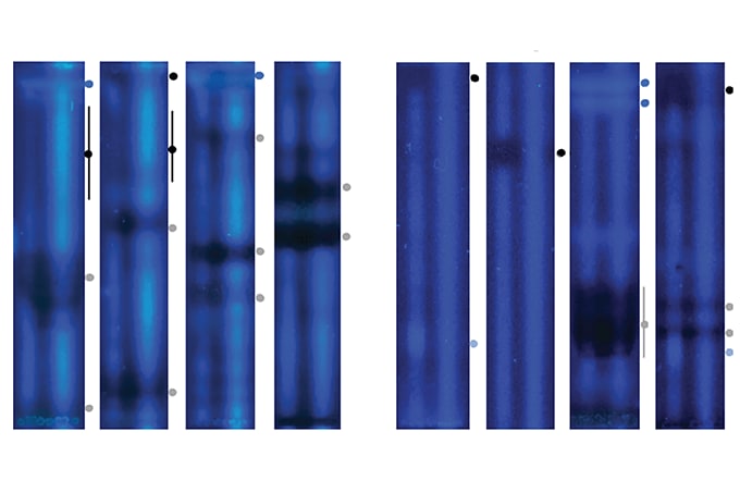 What’s Lurking in Your Samples?