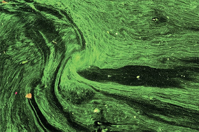 What’s New in Chromatography?