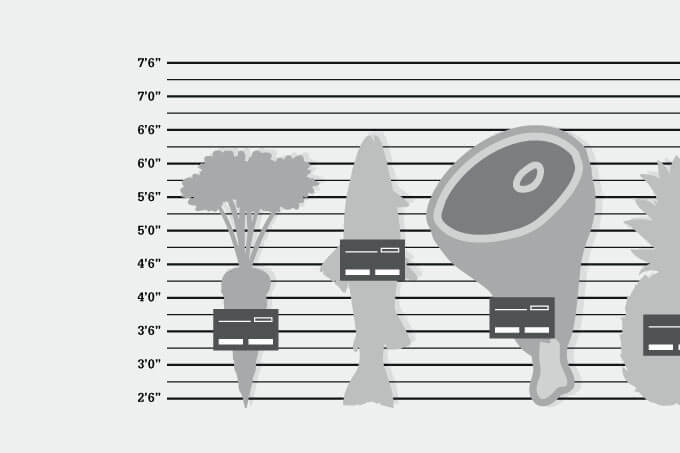 Today's Menu: Sound Science