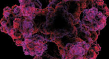Three Gurus of Proteomics