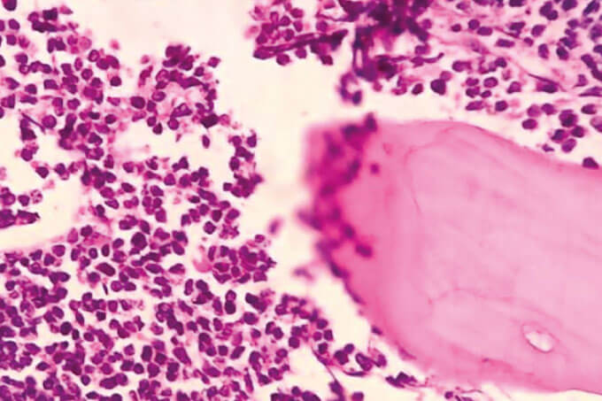 Case of the Month (8)
