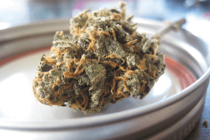 Quick Hits: Cannabis Testing