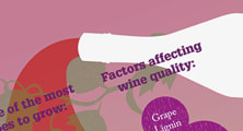 Winning Wines Under Scrutiny