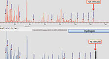 Detailed hydrocarbon analysis (DHA)