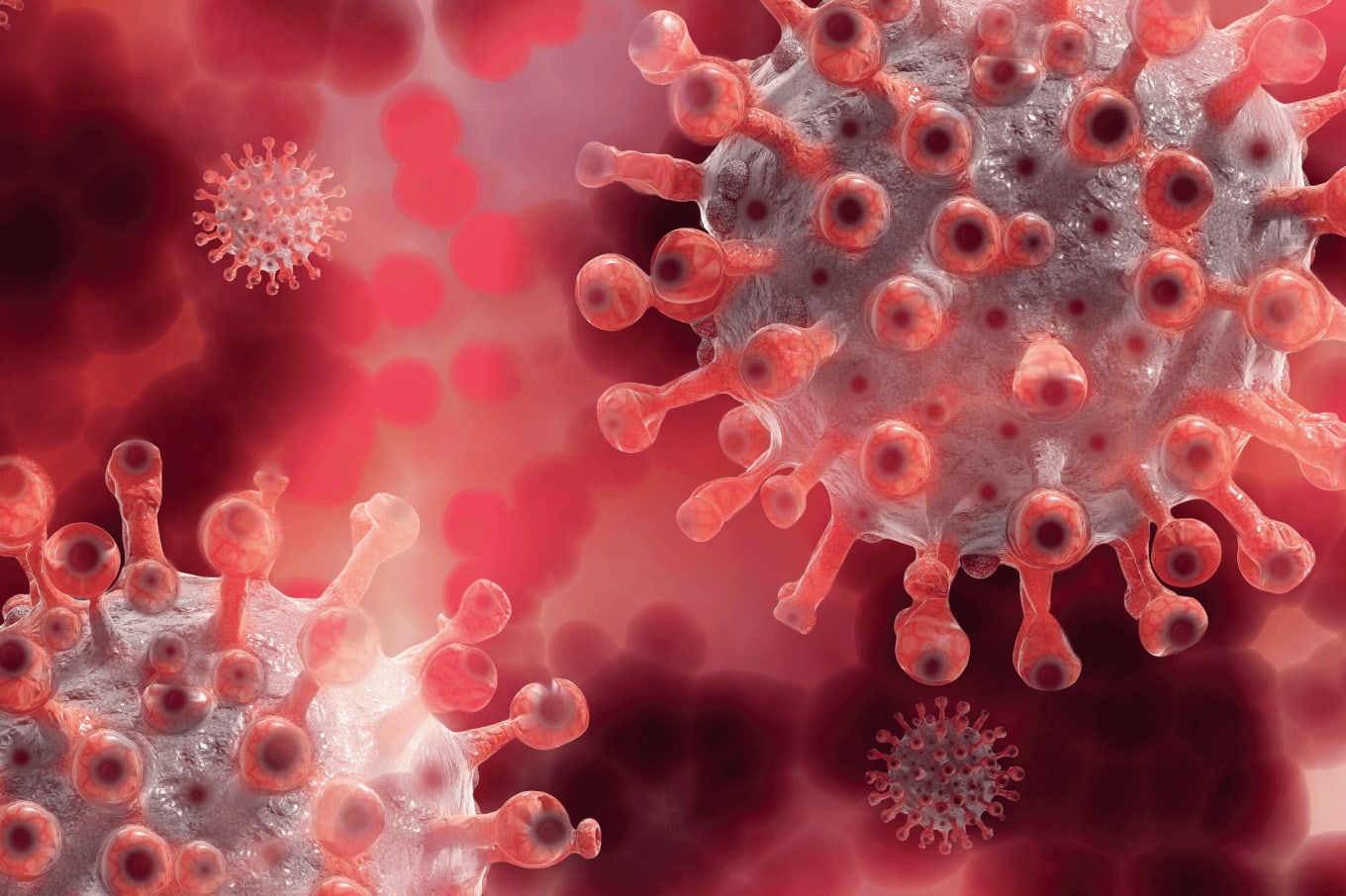 Grappling with Glycoproteins
