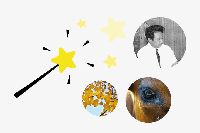 Infographic: Koji Nakanishi
