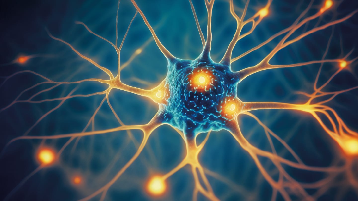 Mapping the Brain’s Hidden Nanotube Network