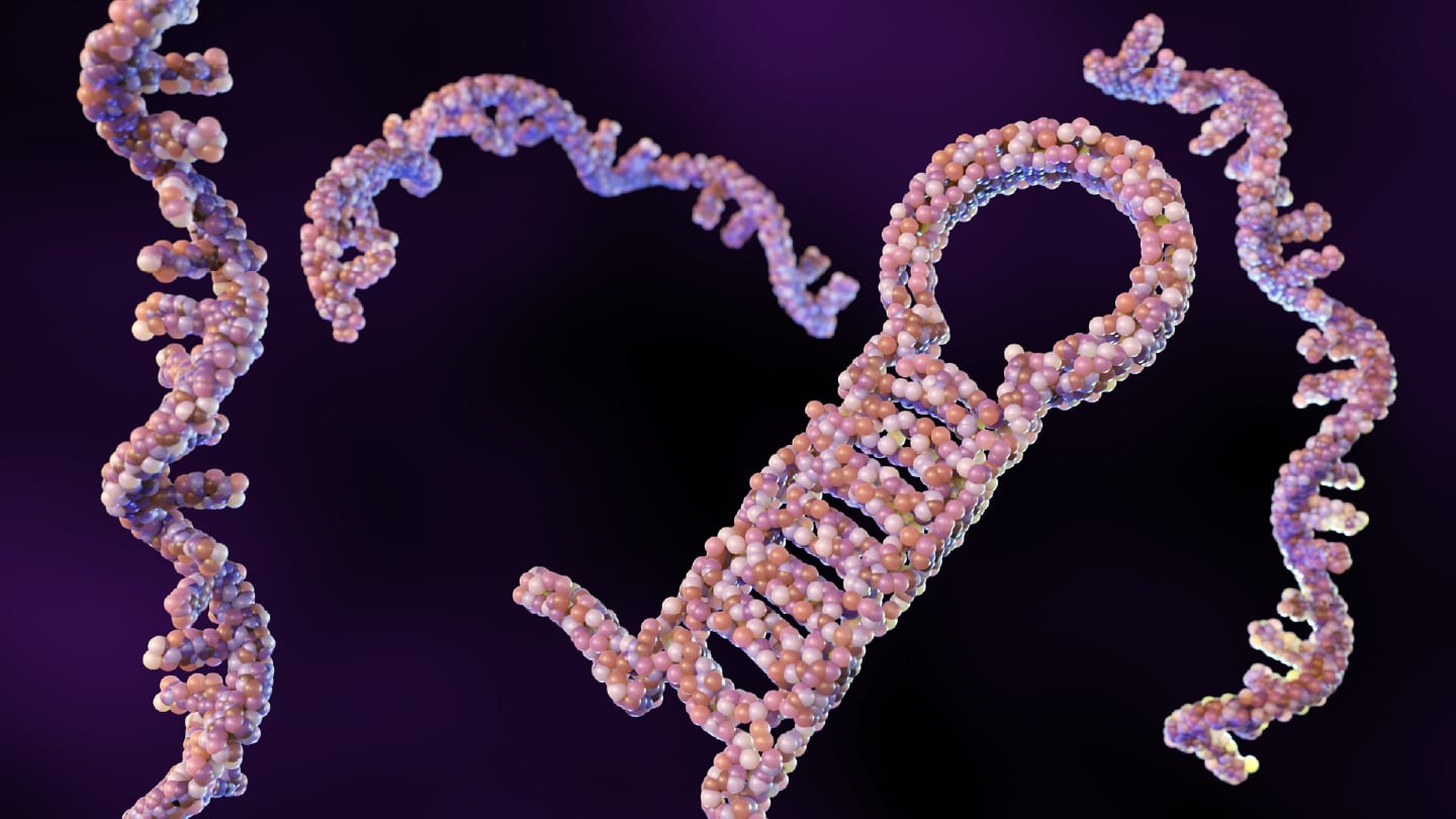 Decoding RNA Expression in Cancer Data