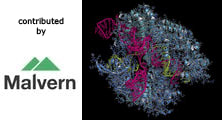 Protein measurements with the Zetasizer µV