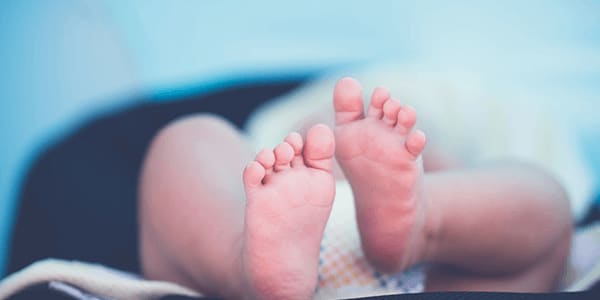 Babies’ Breath