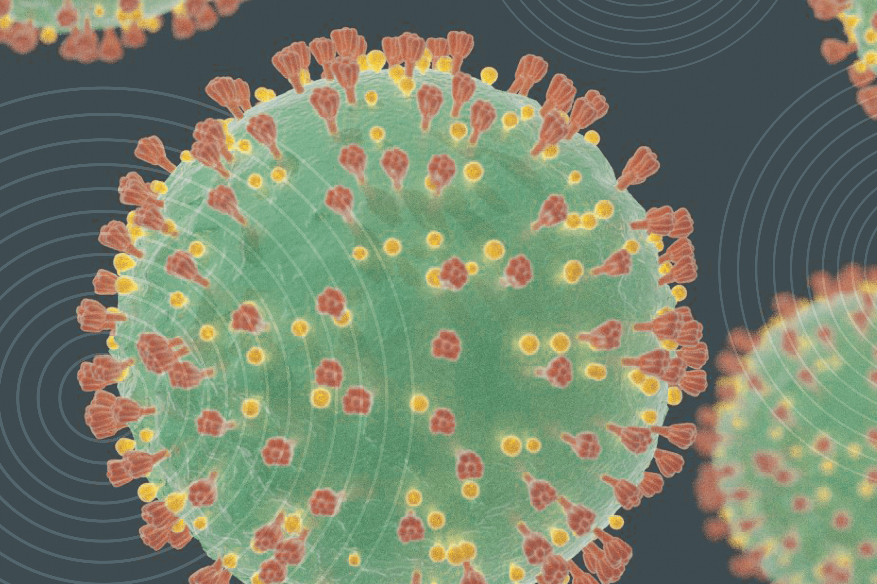 A Community Against Coronavirus