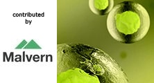 Combined DLS/Raman provides New Molecular Insights of Complex Fluids