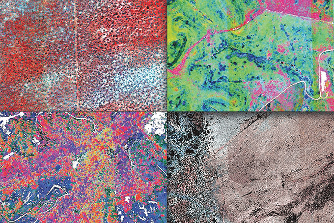 Image of the Month: Around the World