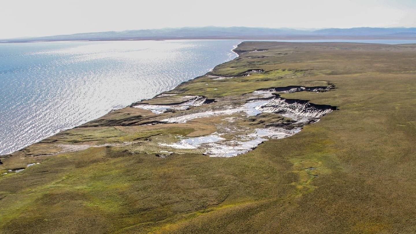 Mass Spec Roundup: Kinases, Contaminants and Carbon…