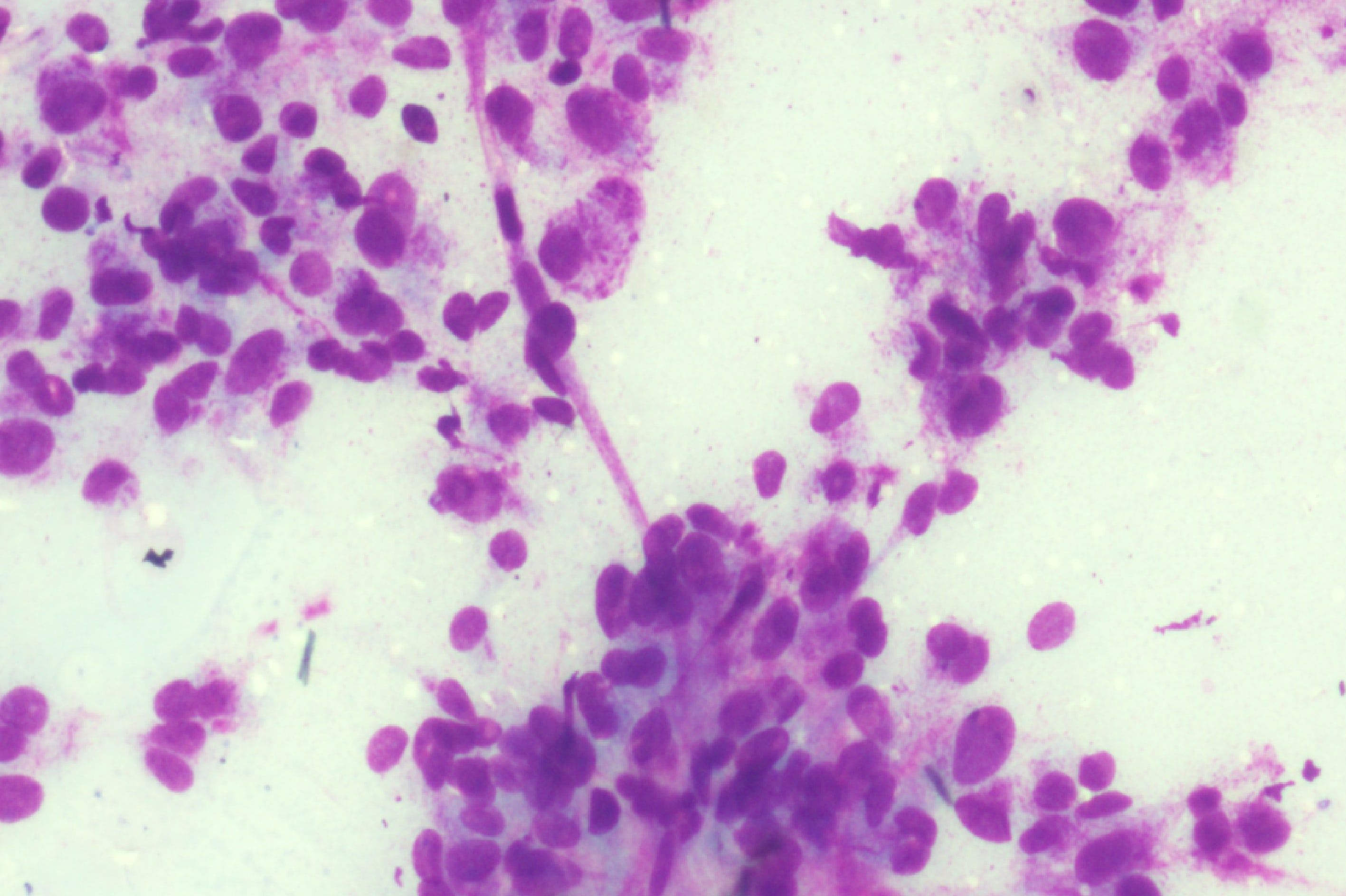 Case of the Month (3)