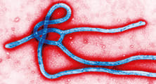 Outsmarting Ebola While You Sleep
