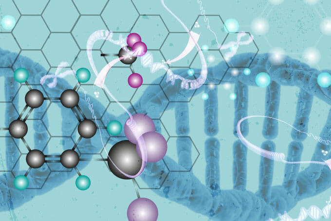 Lessons Learned, with Andrew Feinberg