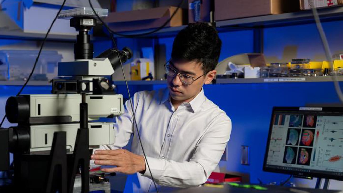 A Molecular Atlas of the Alzheimer’s Brain